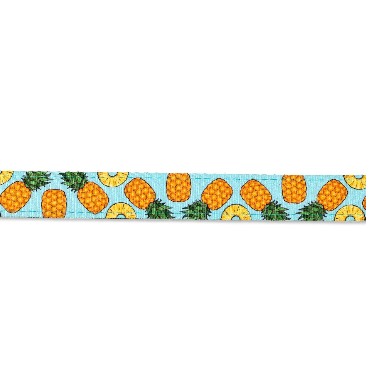 Max & Molly Smart ID Cat Tracking Collar - Sweet Pineapple