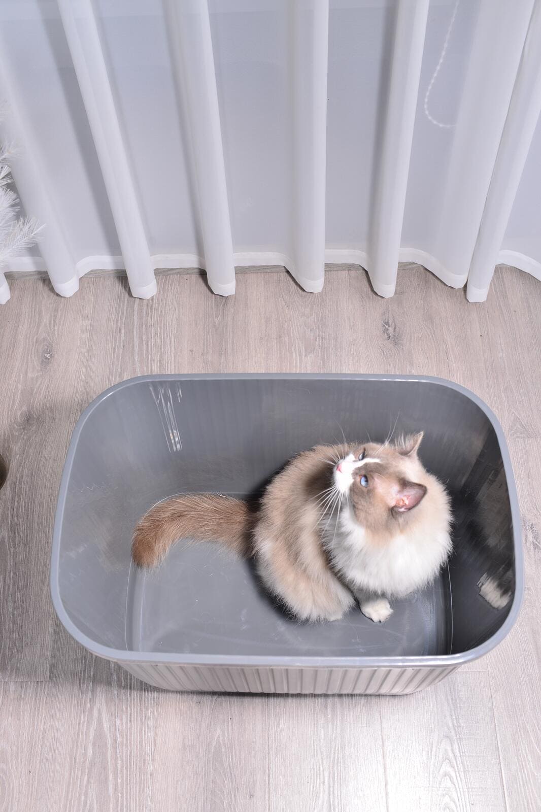 Top Entry Cat Enclosed Litter Box -No Mess XXLarge  Grey FREE SHIPPING