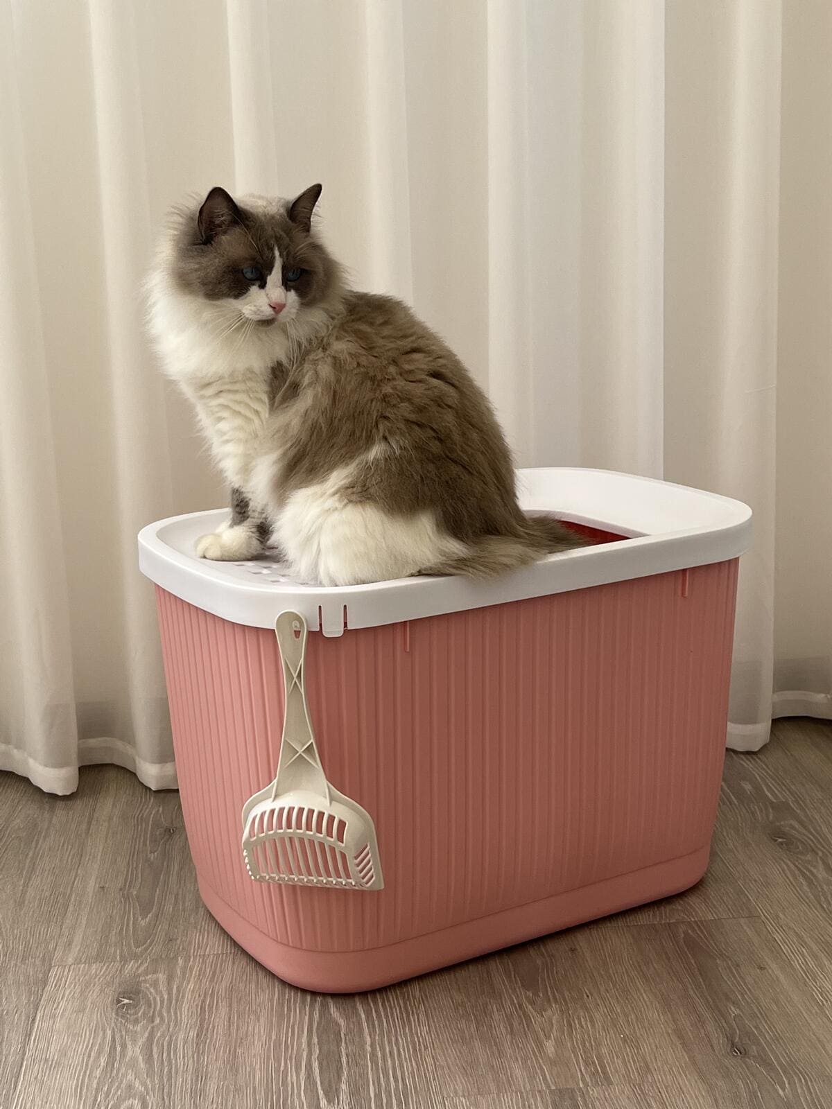 Top Entry Enclosed Cat Litter Box -No Mess XXLarge  Pink- FREE SHIPPING