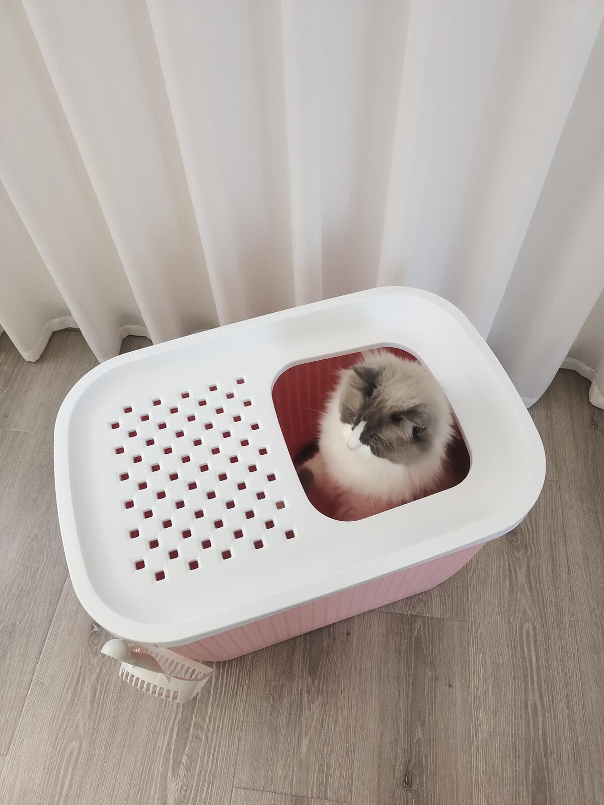 Top Entry Enclosed Cat Litter Box -No Mess XXLarge  Pink- FREE SHIPPING