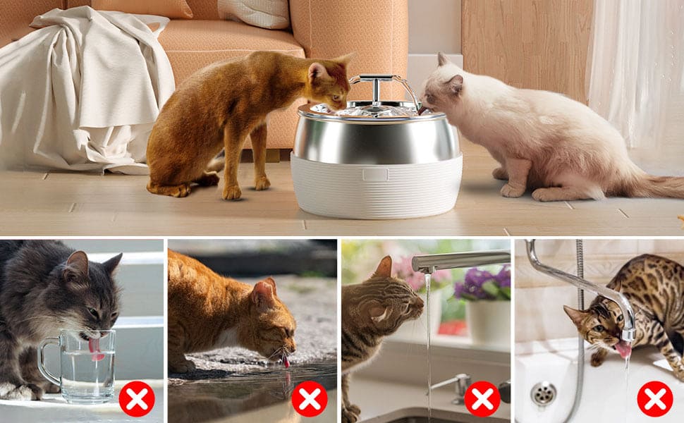 YES4PETS 3L Automatic Cat Stainless Steel Water Drinking Fountain  Black- FREE SHIPPING