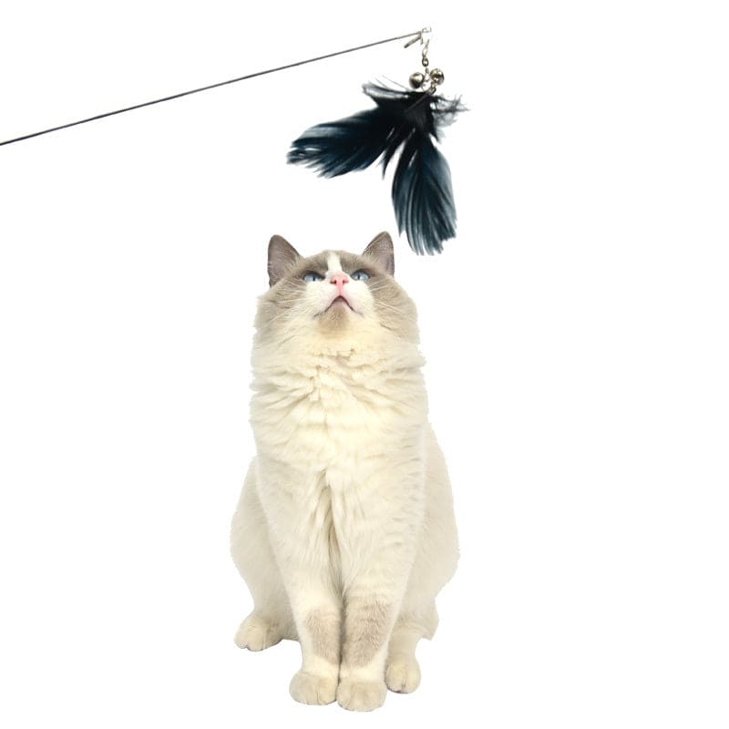 Peek and Play 2 X Pet Cat Toys Retractable Feathers Teaser Cat Stick FREE SHIPPING